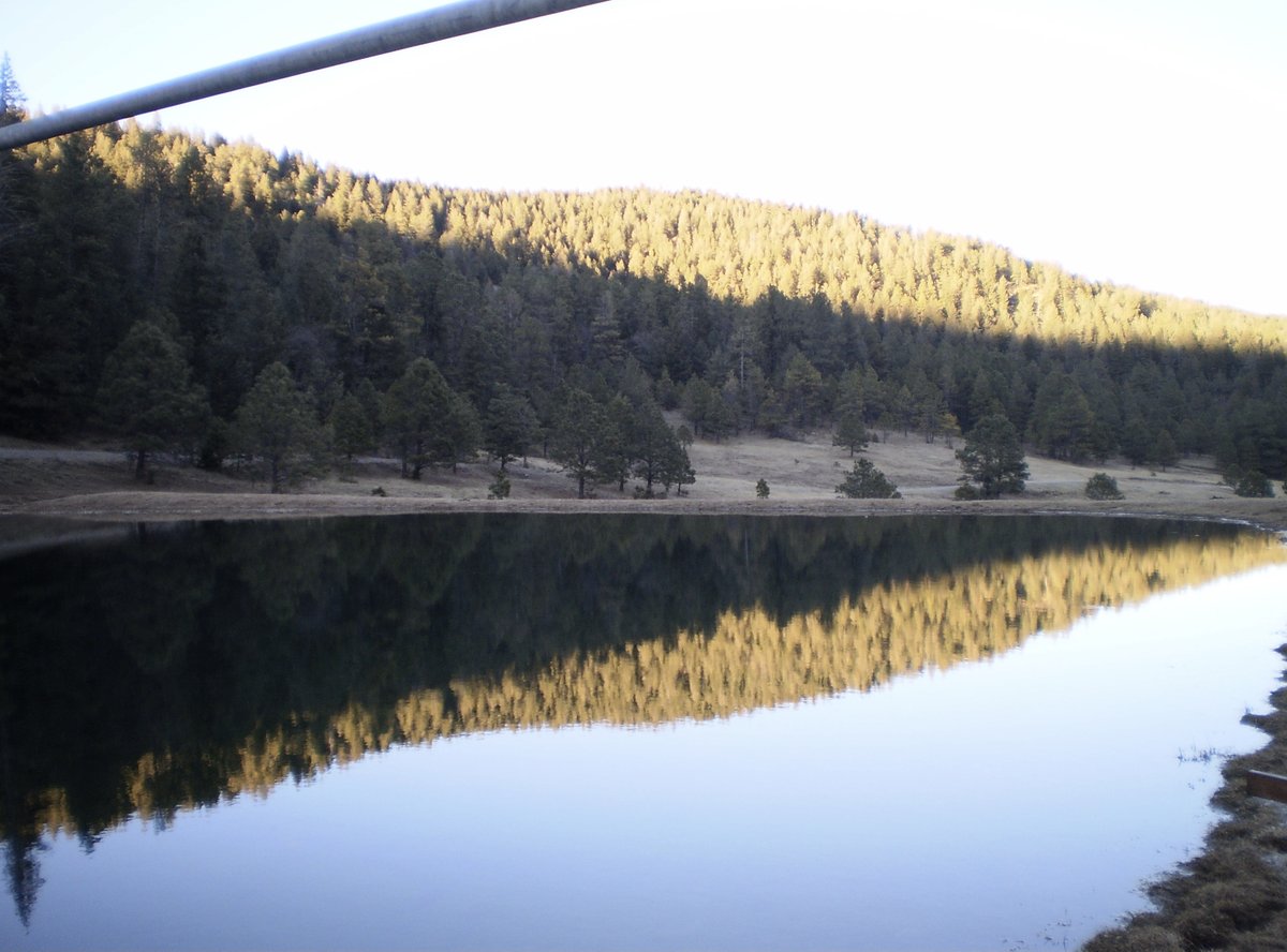 OON_Lifestyles's tweet image. Life&apos;s ripples mirror our journey, reflecting beauty within...

#mountainlife #lifeisfullofreflection #treereflection #pond #tranquility