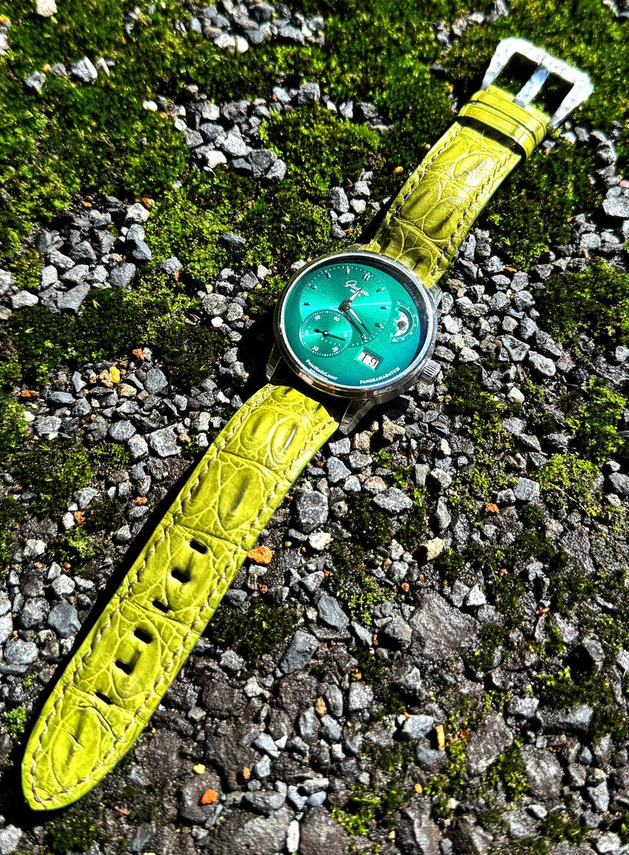 pine_gulf's tweet image. 自分への誕生日プレゼントに #earnest のベルトを購入。
グリーンのホーンバッククロコ。

かっこいい〜

なお、2歳の息子には恐竜の革で出来ていると伝えているもよう🦖