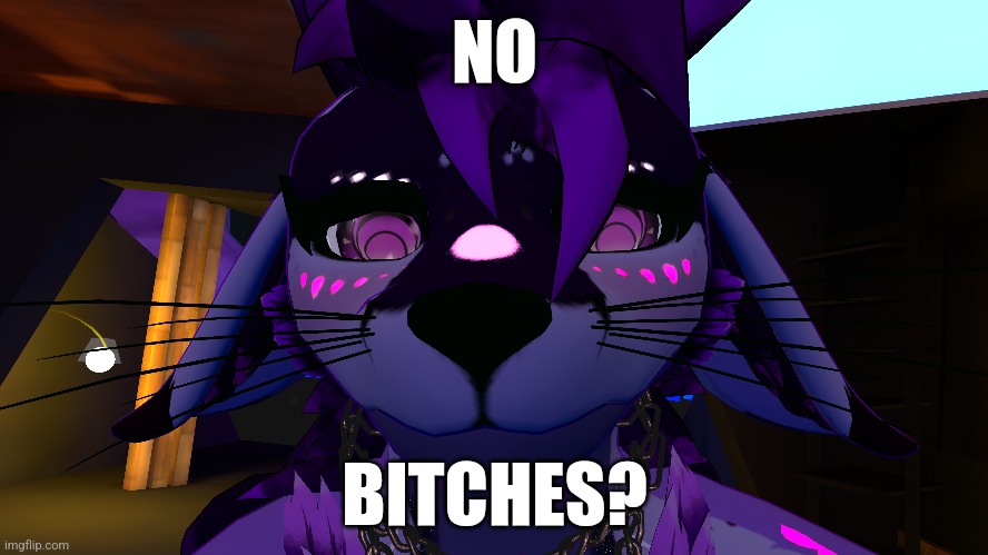 I made some memes of my fox

Enjoy