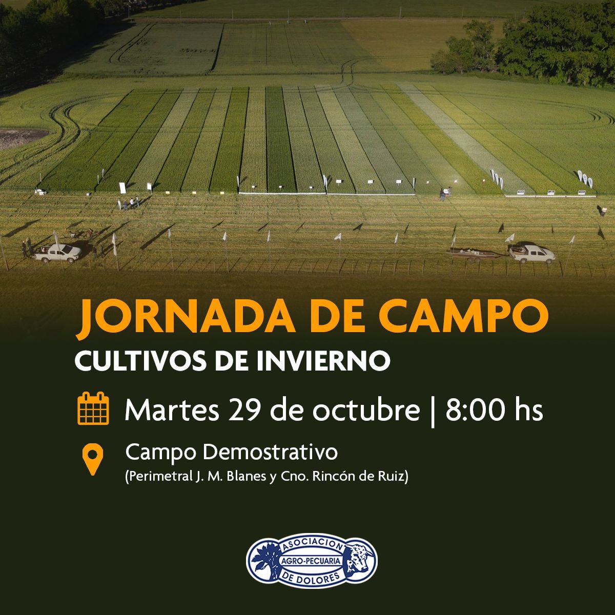 Asociación Agropecuaria de Dolores tweet media