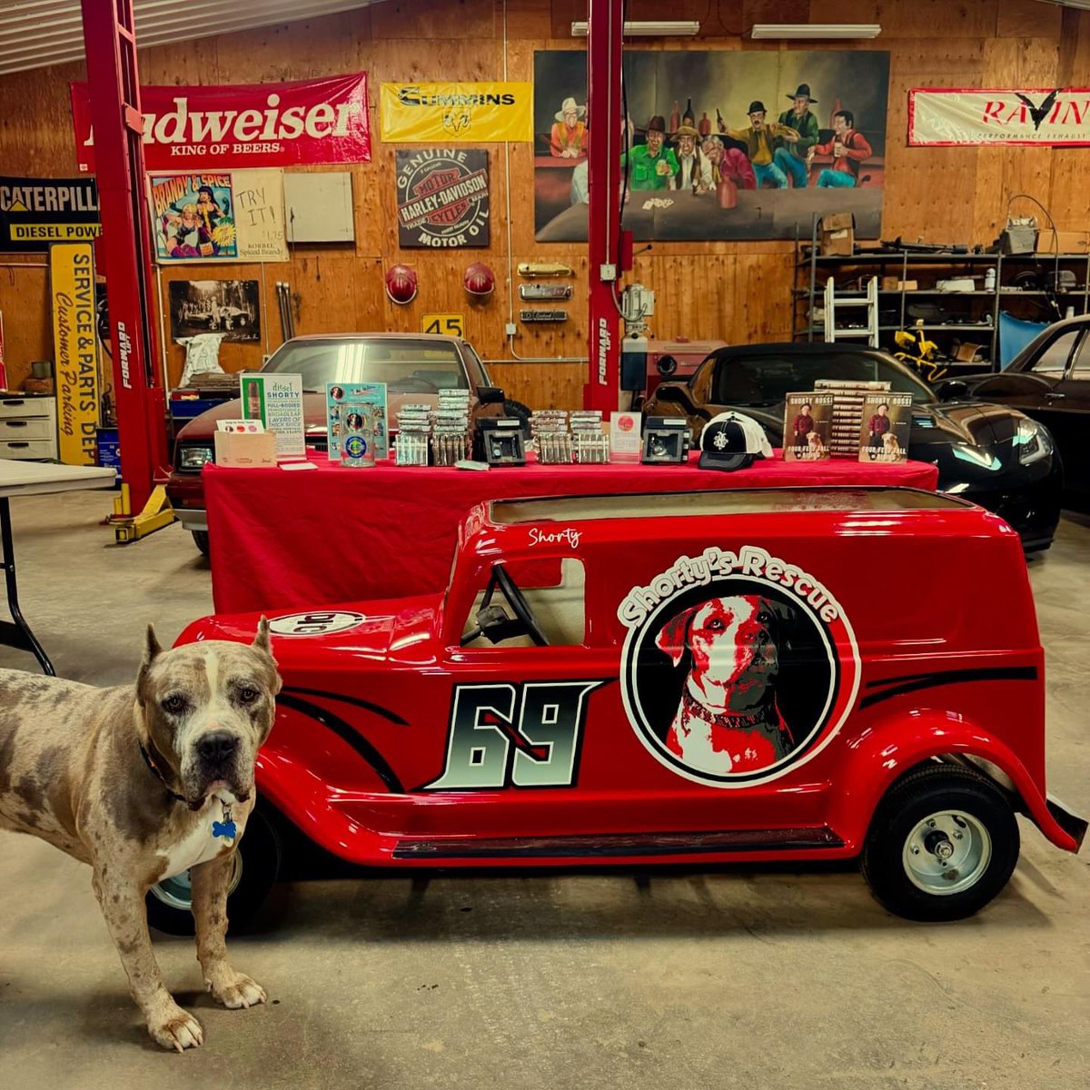 We are all set up for our cigar event tonight raising funds for @shortysrescue and @shortysrescuesanctuary in Marshall, Minnesota Thanks to D&amp;G Excavating for hosting this event. 
.
.
.
#herculeslives #pitbull #pitboss  #shortyrossi #shortysrescue #cigar #rescued