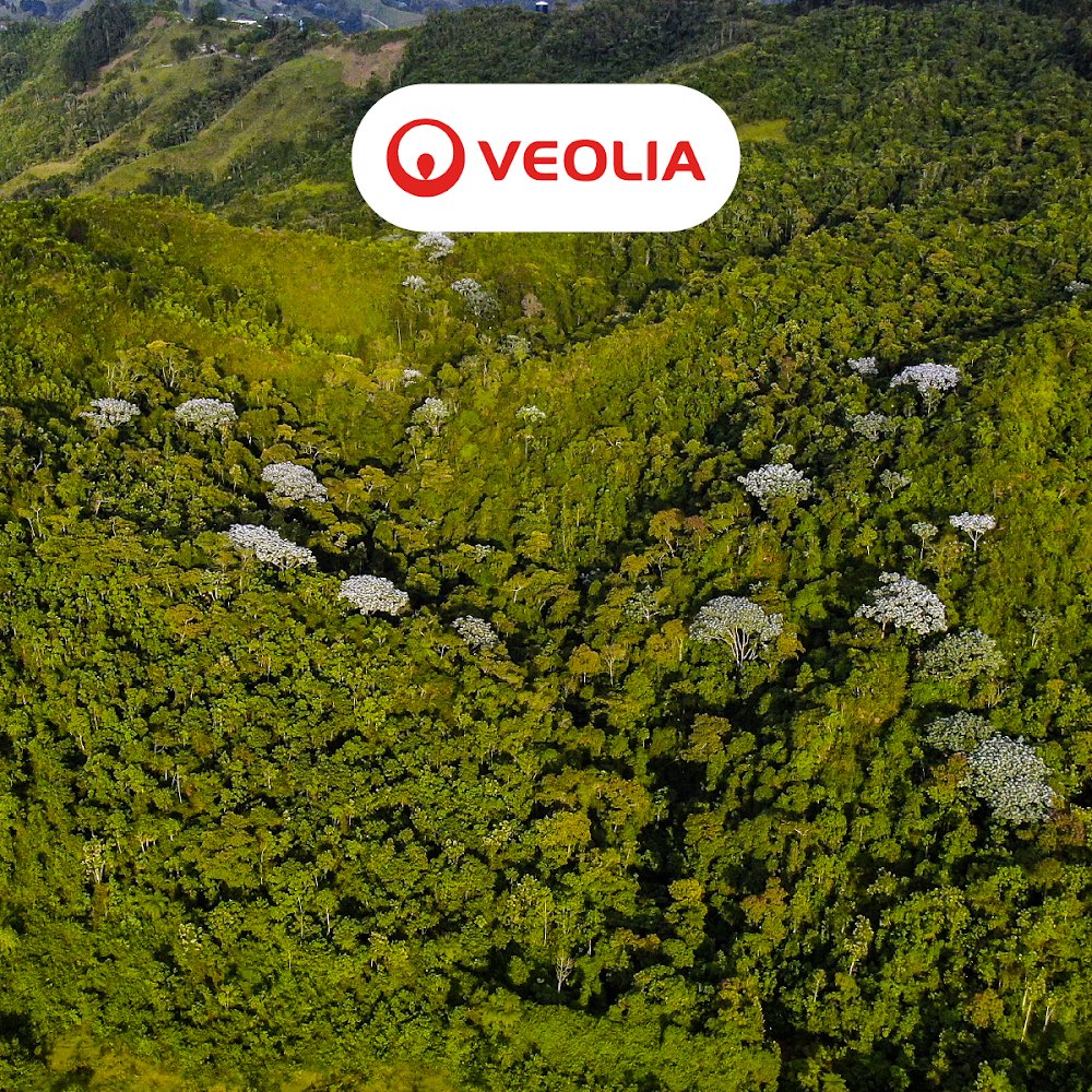 saraqnt's tweet photo. ¡Estamos listos para contarle al mundo entero cómo avanzamos en el camino para ser los campeones de la Transformación Ecológica 🍃♻️

#OrgulloVeolia #VeoliaEnLaCop16 https://t.co/IEU0PMRc2E