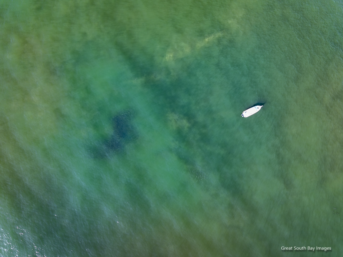 GSBImagesMBusch's tweet photo. Striped Bass Fall Run off Fire Island was incredible yesterday! Most of these fish are slot size or bigger. And they were everywhere. #Fallrun #Fishing #Dronephotography @SportFishingMag @DJIGlobal https://t.co/y4xICJ1oFk