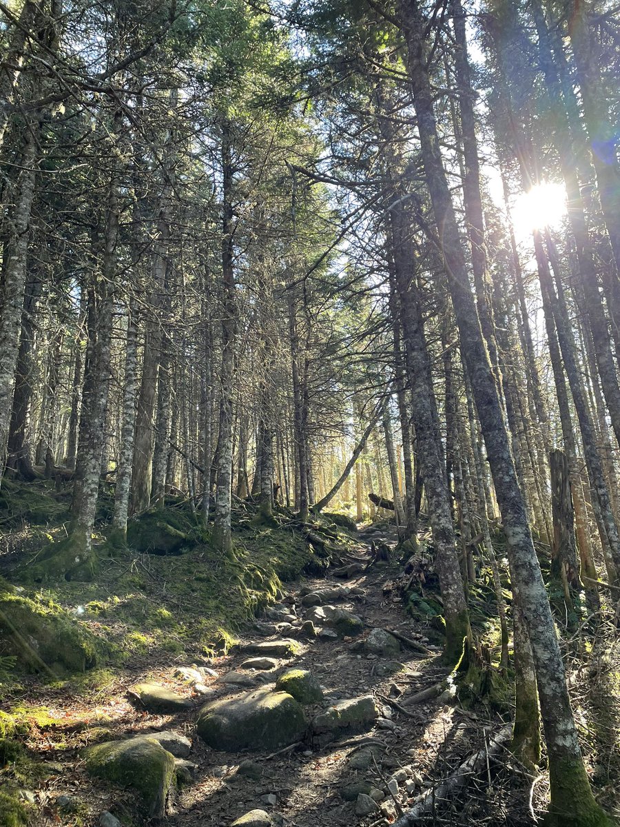 ItsSteammm's tweet image. Touching grass and rocks