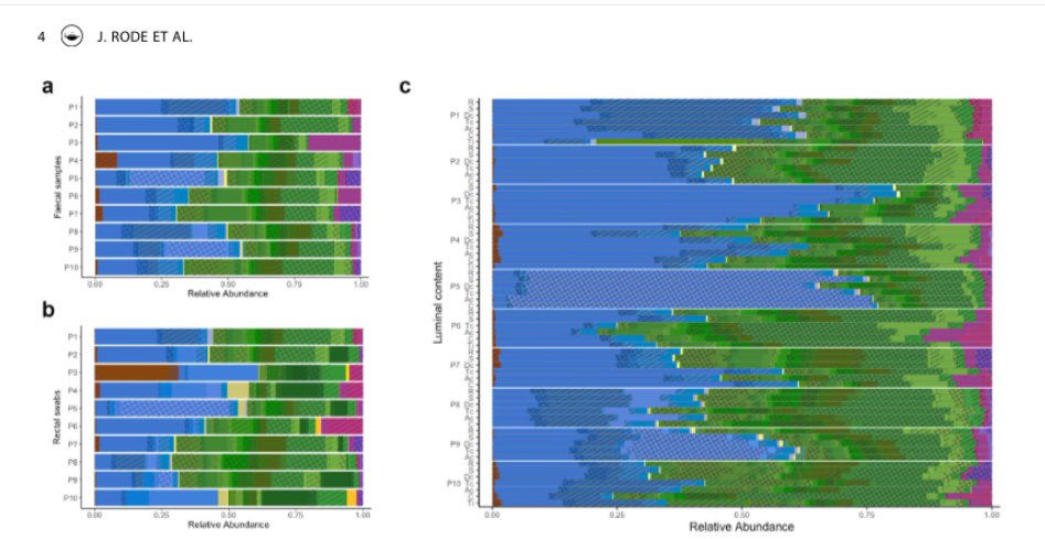 Julia Rode, PhD tweet media