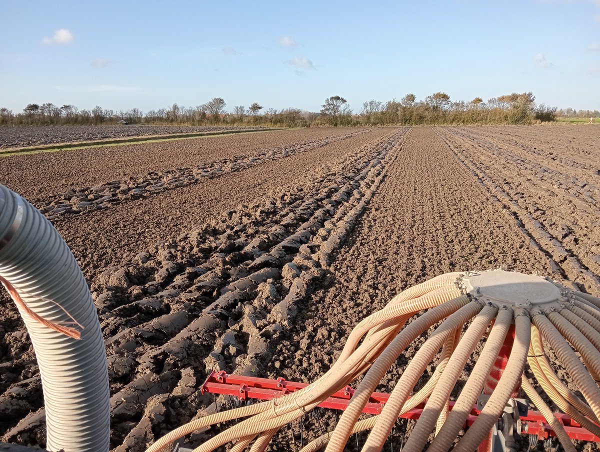 Met de woeler kwam de trekker niet meer van z'n plek, dan maar de ploeg opgezocht. Die stond er nog, na twee jaar weer aan de slag. #taai