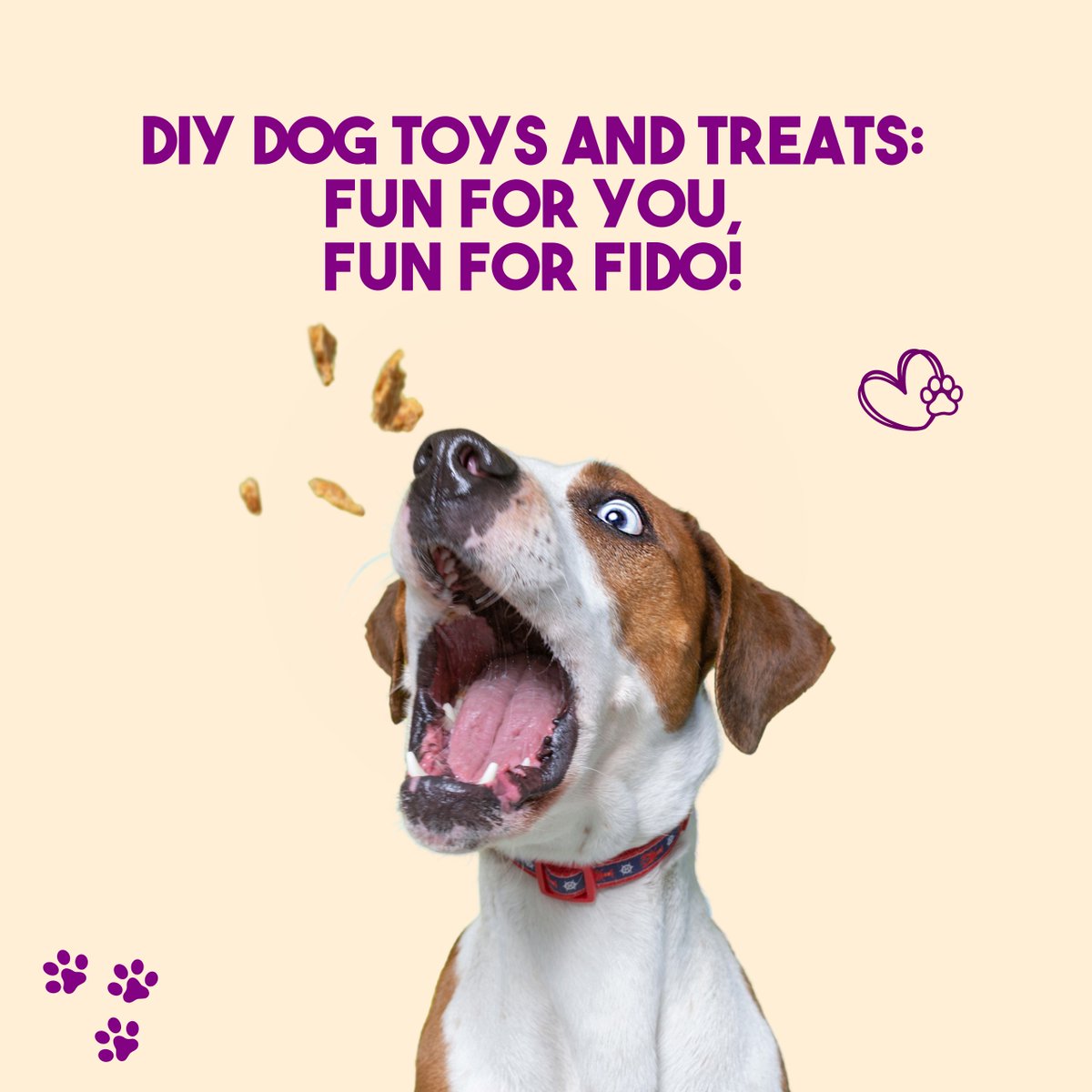 The Pampered Pup tweet media