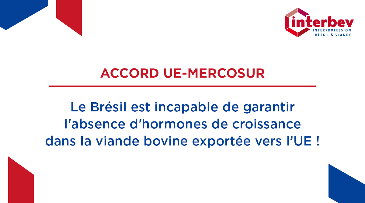 Interbev_fr's tweet photo. Un rapport de la Direction générale de la Santé et de la Sécurité alimentaire de la Commission européenne confirme les inquiétudes de la filière #Elevage et #Viande. 

Le Brésil, membre du #Mercosur, est incapable de garantir l'absence d'hormones de croissance (l’œstradiol 17β) dans la viande bovine exportée vers l’UE ! 

Bruxelles doit en tenir compte et mettre un terme définitif aux négociations avec les pays du Mercosur afin de garantir la sécurité sanitaire et protéger les éleveurs et consommateurs européens.

@EU_Health @UEFrance @EU_Commission