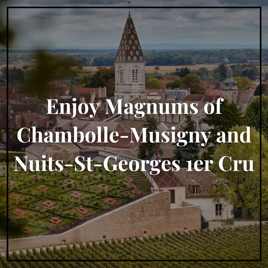 BleedingHeartRW's tweet photo. 🍇 Explore the Elegance of Burgundy! 🍇
Join us for a spectacular evening at our Magnum Club Burgundy event on Nov 27 in the historic Crypt. At £155, this exclusive experience is not to be missed! Book now! 020 7242 8238
#FineDining #WineTasting #LondonEvents https://t.co/db7LvWUf8j
