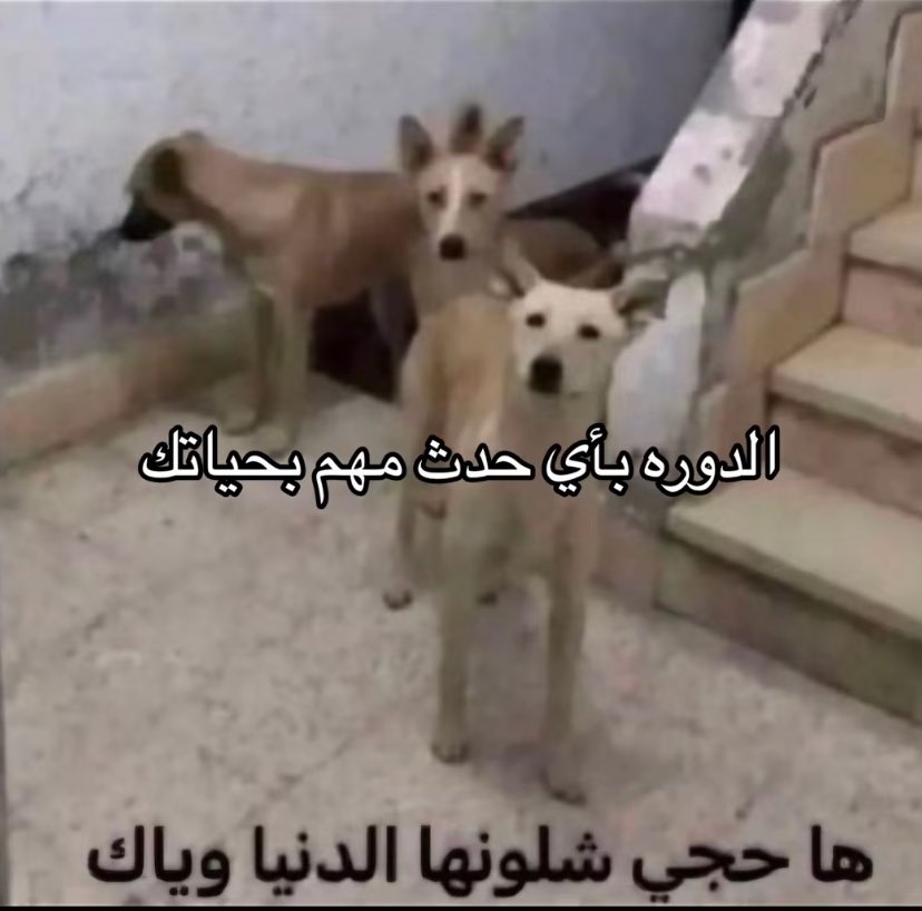 ٍ tweet media