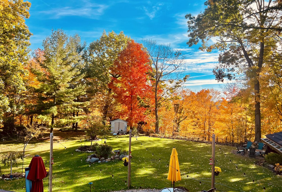 JishnuSenGupta's tweet photo. #BackyardMagic #ClevelandFall 😍 https://t.co/l9yvQA9E1Q