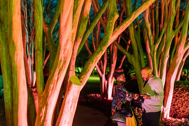 Campfire Collective tweet media