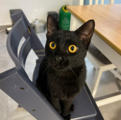 sergio martín tweet media