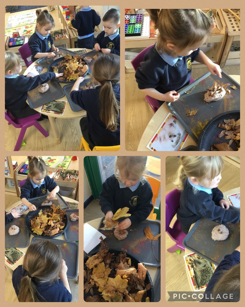 Mrs Watkin tweet media