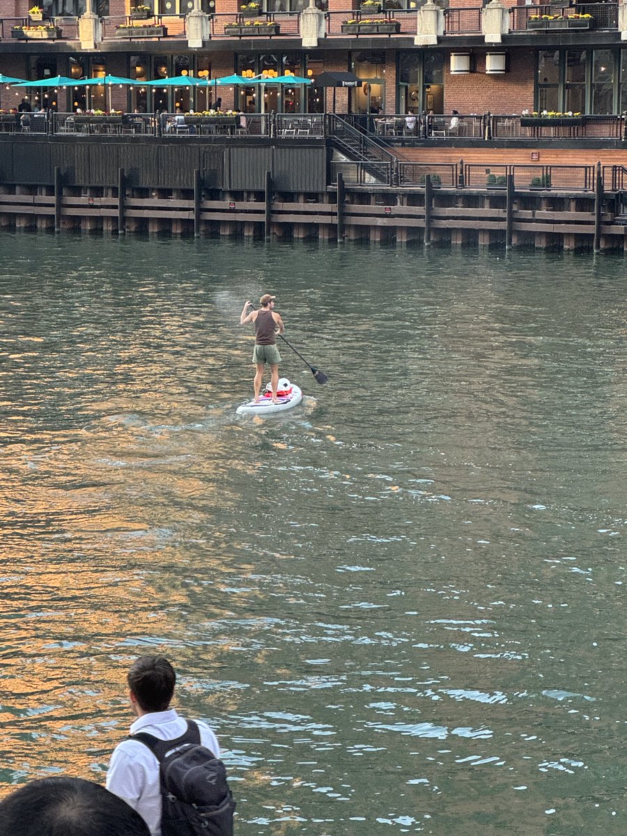 Thomas Hill tweet media