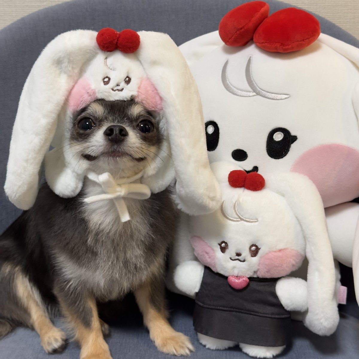 #2024MAMAVOTE #IVE

大好きなIVEの笑顔が見たい🥺