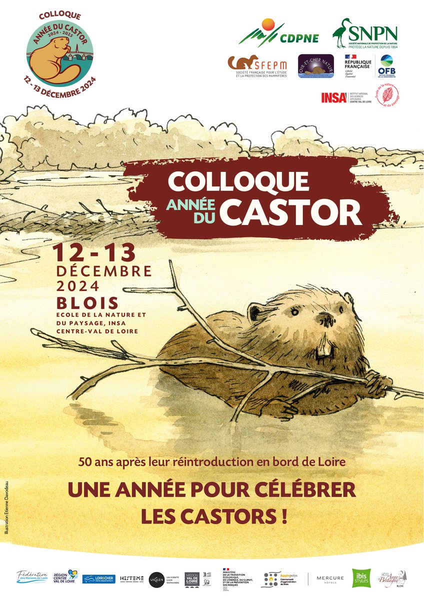 SNPN_nature's tweet photo. 🎉La billetterie du Colloque Castor est ouverte !🦫

Pour célébrer les 50 ans de sa réintroduction en bord de Loire, participez au Colloque Castor les 12 &amp; 13 décembre 2024 à Blois. L'évènement qui va changer votre regard sur cet animal fascinant.

🎟️https://t.co/USvuj83lSm https://t.co/FBLc2KMIN3