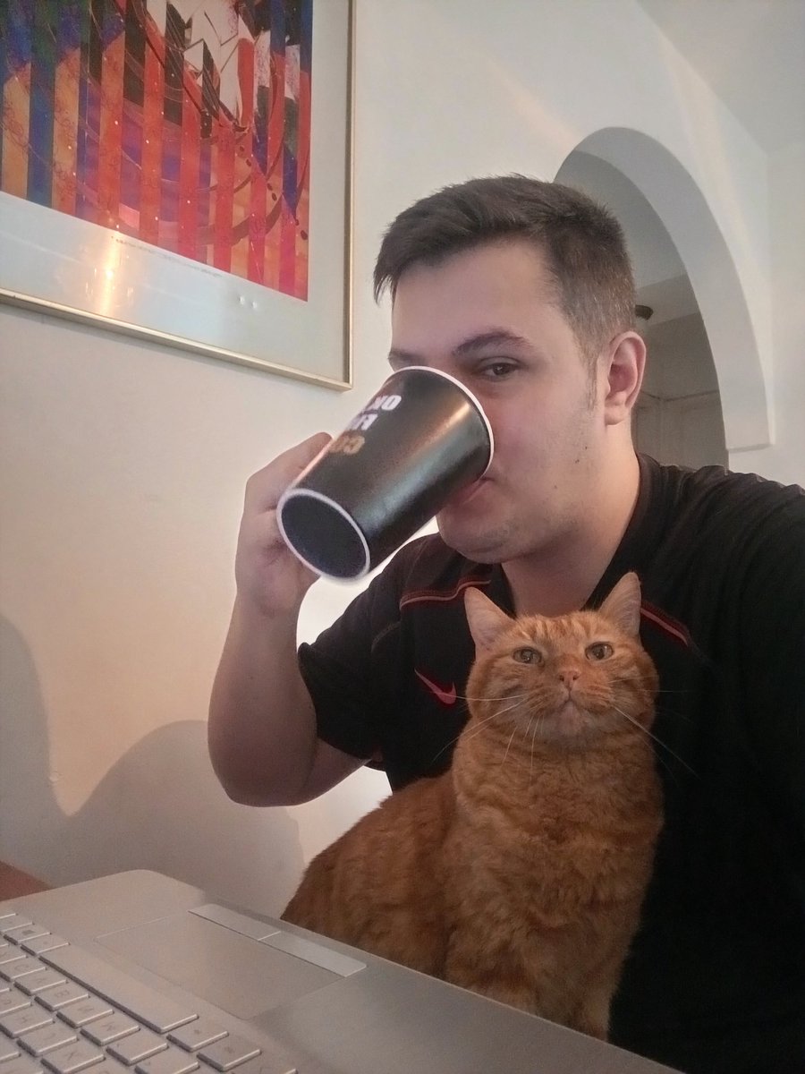 Detrás de cada persona en Home Office está un gato que asiste a todas las reuniones de la empresa