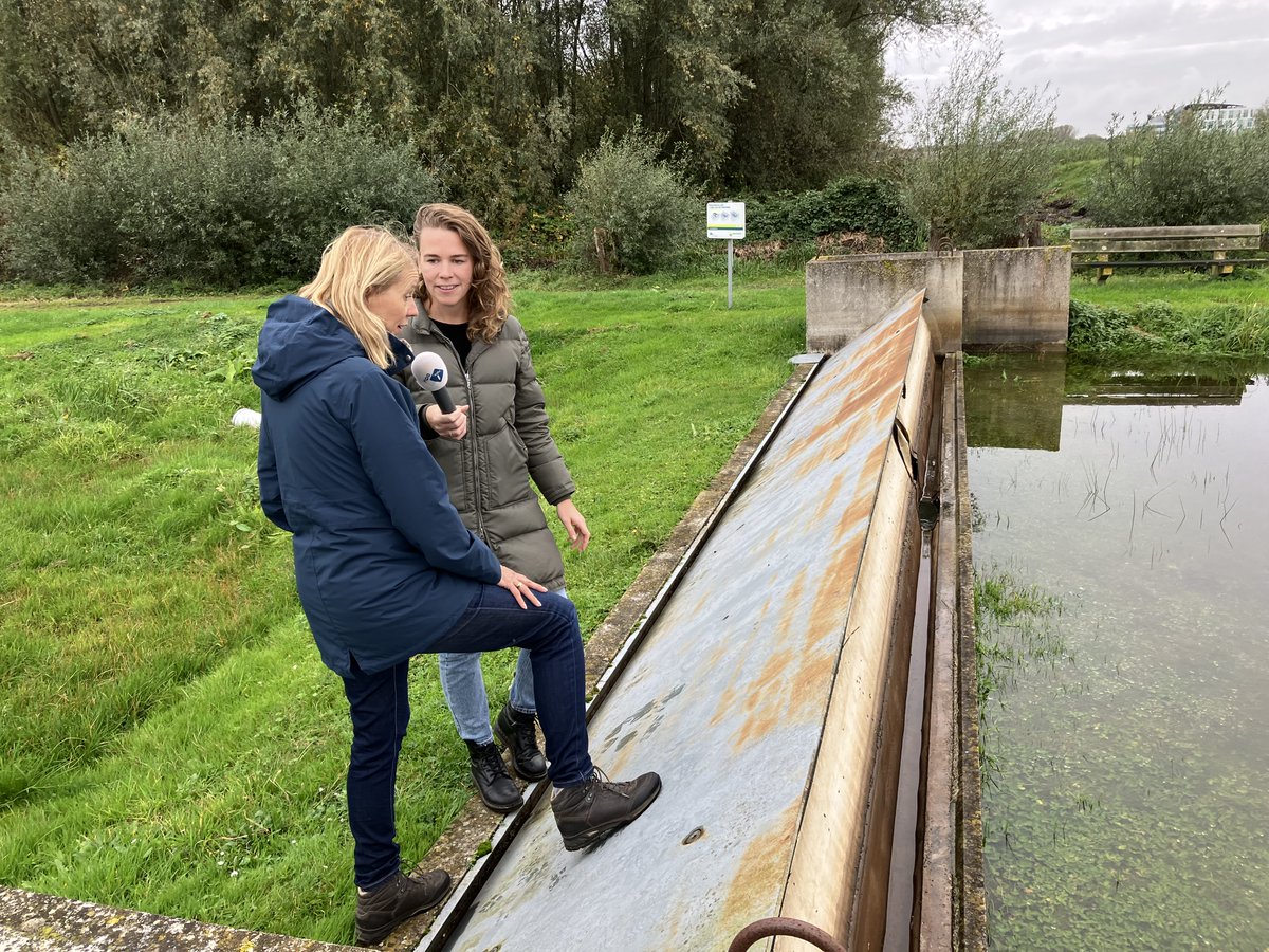 VPdelta (@vpdeltanl) on Twitter photo Wat kunnen we doen om onszelf te beschermen tegen tijdelijk #hoogwater? <a href="/NPORadio1/">NPO Radio 1</a> kwam bij ons langs op #FloodProofHolland. Luister vanavond om 20:00 naar het programma '5 Dagen' bit.ly/40aFt1v Wat kunnen we doen om onszelf te beschermen tegen tijdelijk #hoogwater? <a href="/NPORadio1/">NPO Radio 1</a> kwam bij ons langs op #FloodProofHolland. Luister vanavond om 20:00 naar het programma '5 Dagen' bit.ly/40aFt1v