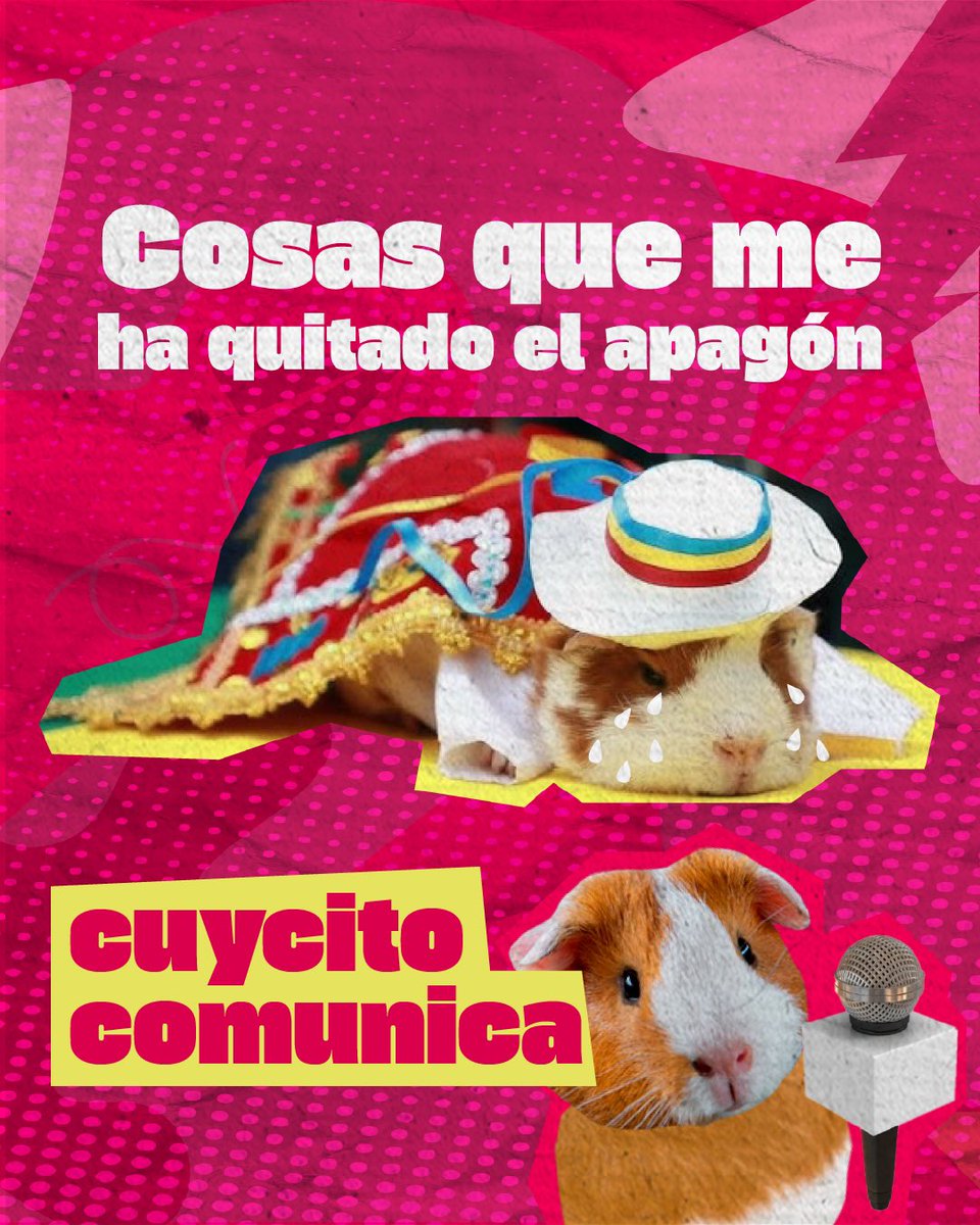 sebastcevallos's tweet photo. 🎙️Cuycito comunica: Estamos hartos!! Nos podrán quitar todo menos las ganas de luchar por nuestro Azuay ✌🏼❤️
#cuycitocomunica #teamSebas #asamblea #asambleista #azuay #ecuador #ElSebas https://t.co/jydhUwCGKK