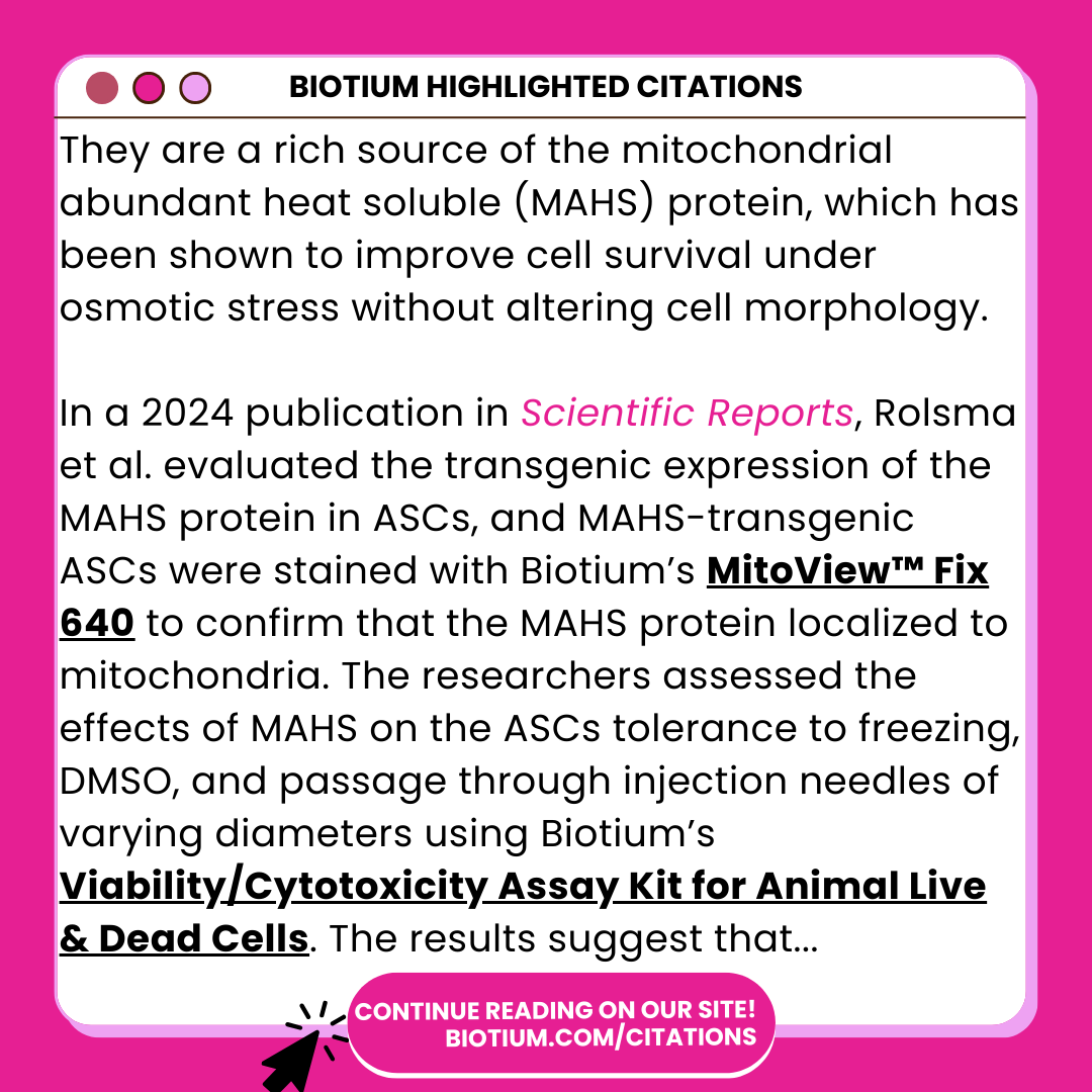 biotium's tweet photo. 📚✨ Hot off the Press: Read our new Highlighted Citation here: https://t.co/muFww7uqfL

#tardigrade #sciencearticle #scienceread #sciencepublication #fluorescentdye #sciencecompany #scientificreports #fremontca #stemcell #mitochondria #sciencefeature #cellviability #assay https://t.co/u5FBhgzPor
