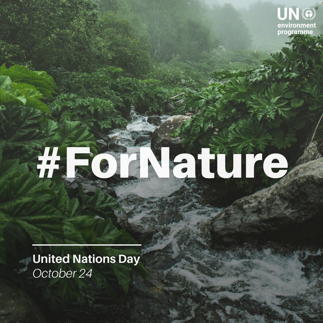 UN Environment Programme (@unep) on Twitter photo The <a href="/UN/">United Nations</a> Environment Assembly brings nations together to protect the environment and secure a more sustainable future #ForPeopleForPlanet.
This #UNDay, see how #UNEA creates pathways for global environmental progress: unep.org/environmentass… #ForNature The <a href="/UN/">United Nations</a> Environment Assembly brings nations together to protect the environment and secure a more sustainable future #ForPeopleForPlanet.
This #UNDay, see how #UNEA creates pathways for global environmental progress: unep.org/environmentass… #ForNature