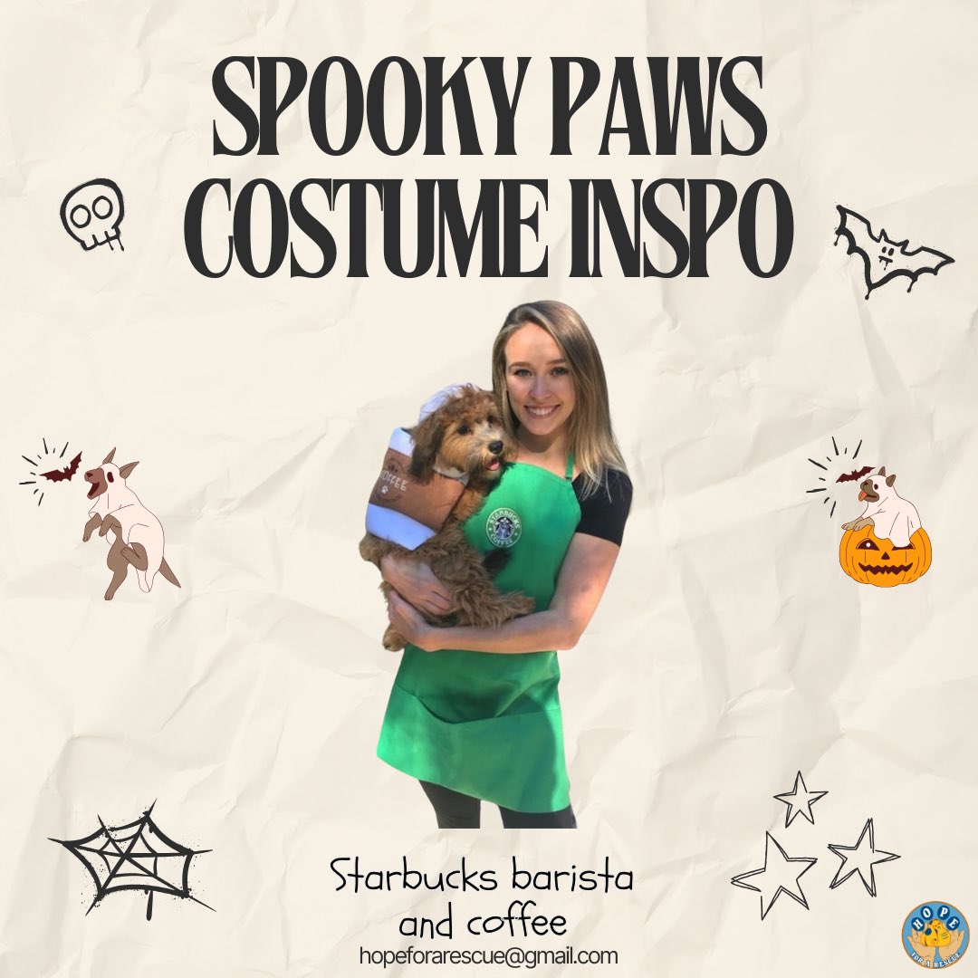 HopeForARescue's tweet photo. Spooky Paws Costume Inspo 🎃🐾

Pt.3 https://t.co/r5mQ0AO4rx