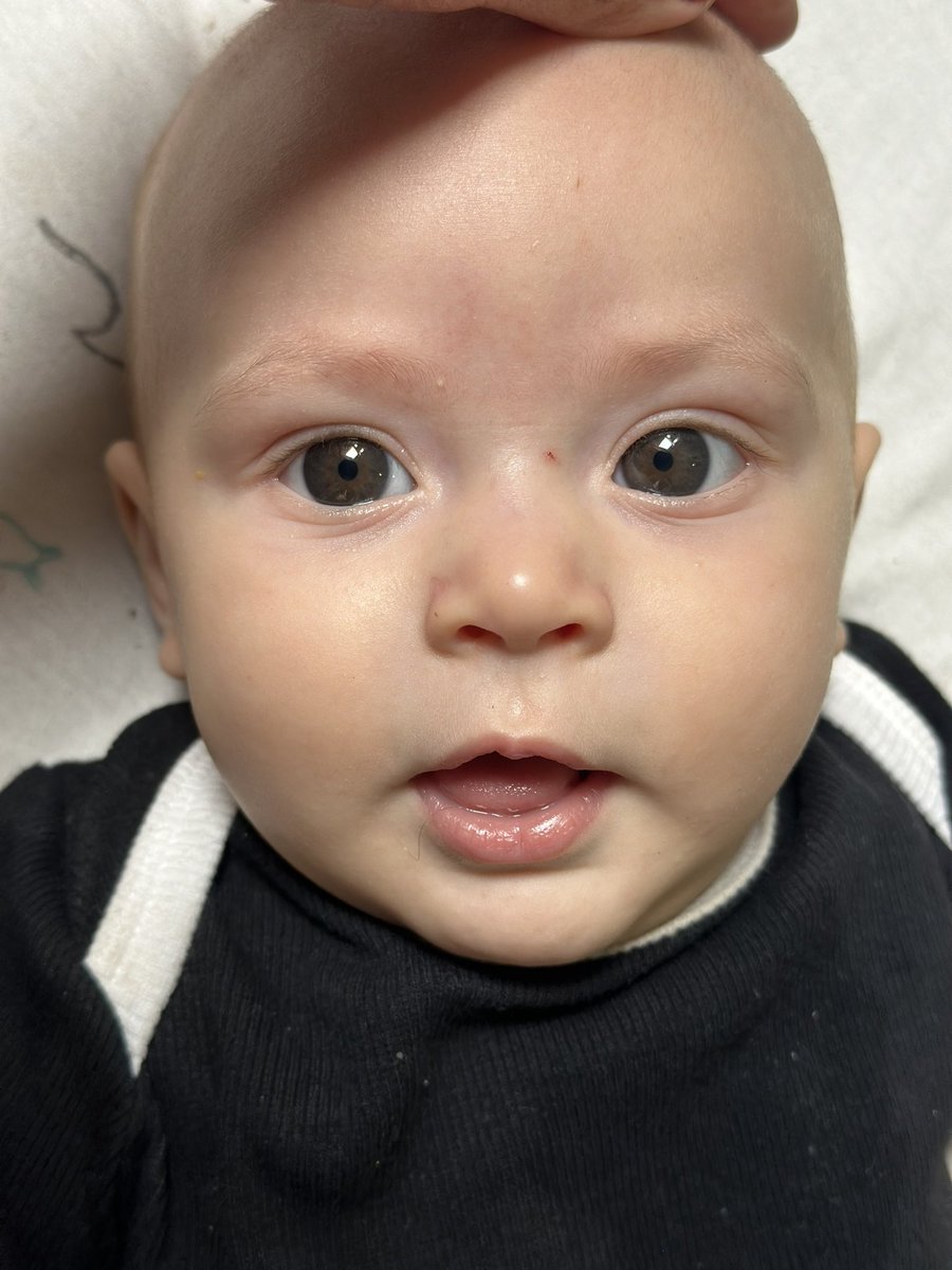 Lívia Bember tweet media