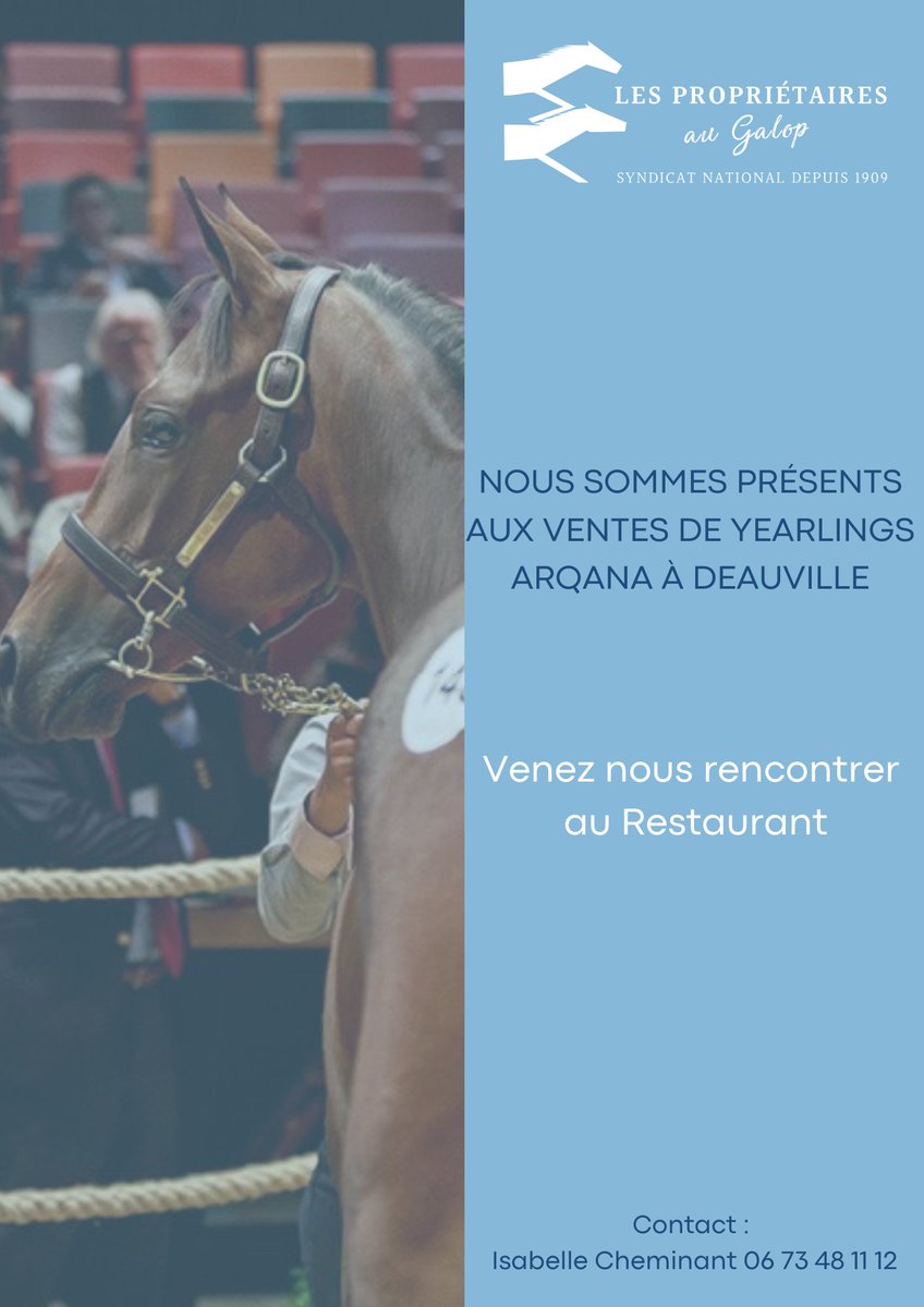 #proprietairesgalop #courseshippiques #galop #plat #obstacle #hippodromes #ventesauxencheres #passion #reve #arqana #indeauville