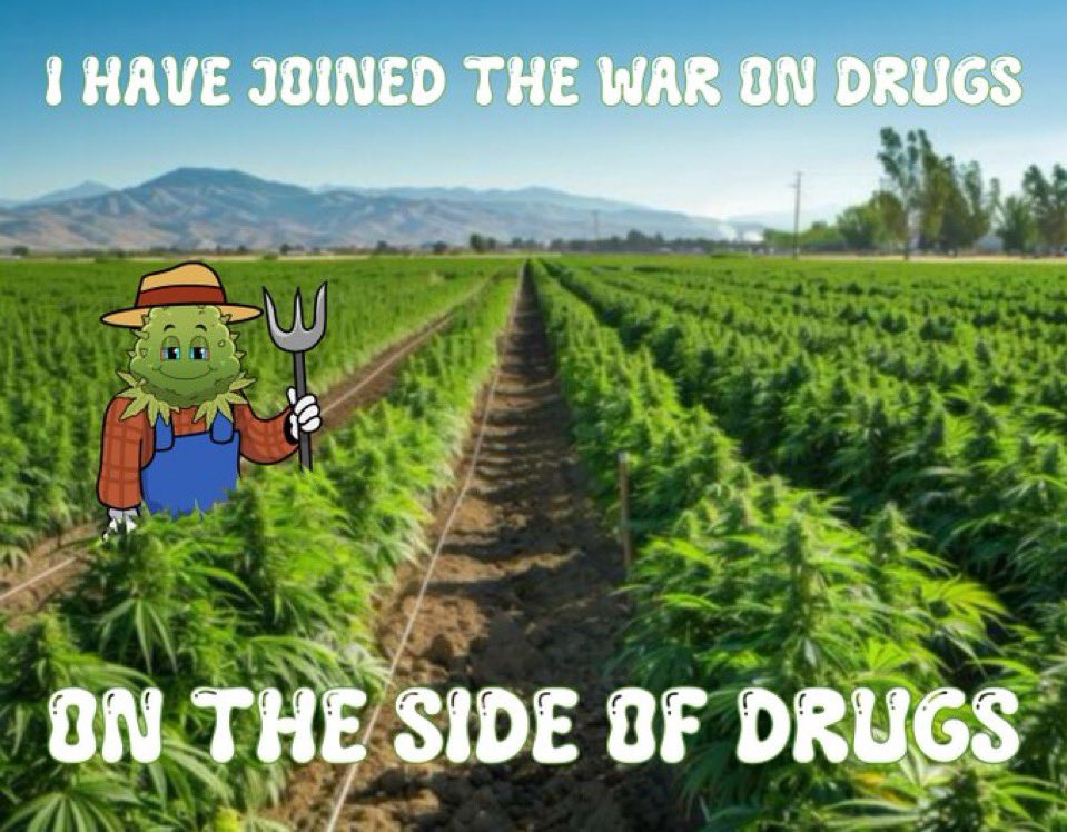 <a href="/JeffWagar/">Beardo</a> <a href="/WeedMemeCoin420/">$WEED</a> <a href="/GeniusPothead/">Intelligent Stoners™ 💹🧲</a> Have a great day Beardo ☕️🌿💚