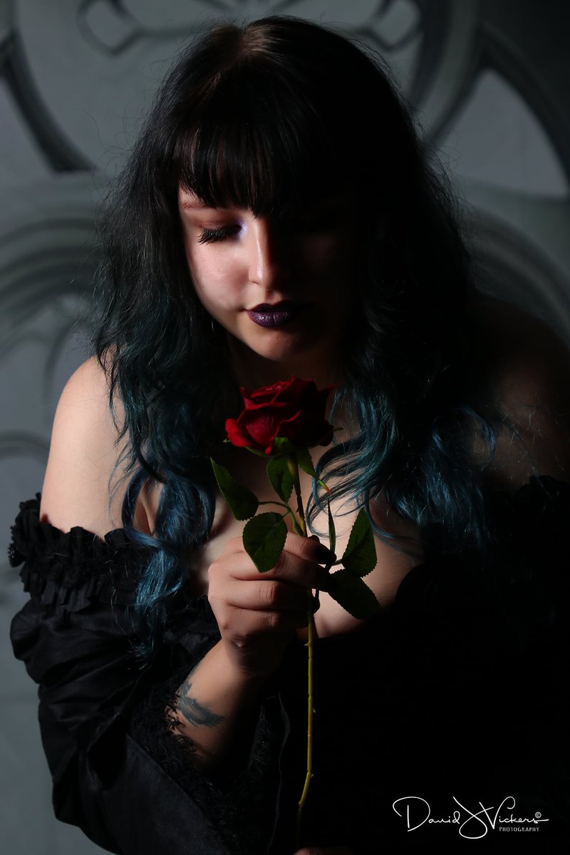 The eye is always caught by light, but shadows have more to say.

📷 @david.j.vickers 

#shadow #goth #gothic #rose #prettyaesthetic #pretty #happy #beauty #makeup #photography #beautiful