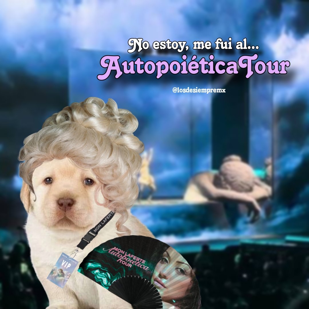 ¡Es hoy! ¡Es hoy! ¿Están listos?