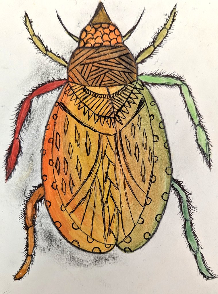ArmthorpeArt's tweet photo. Year 7 Beetles 🪲... Bringing together all of this half term's work on the formal elements! #KS3Art #InsectsProject https://t.co/cOfQkTBVtN