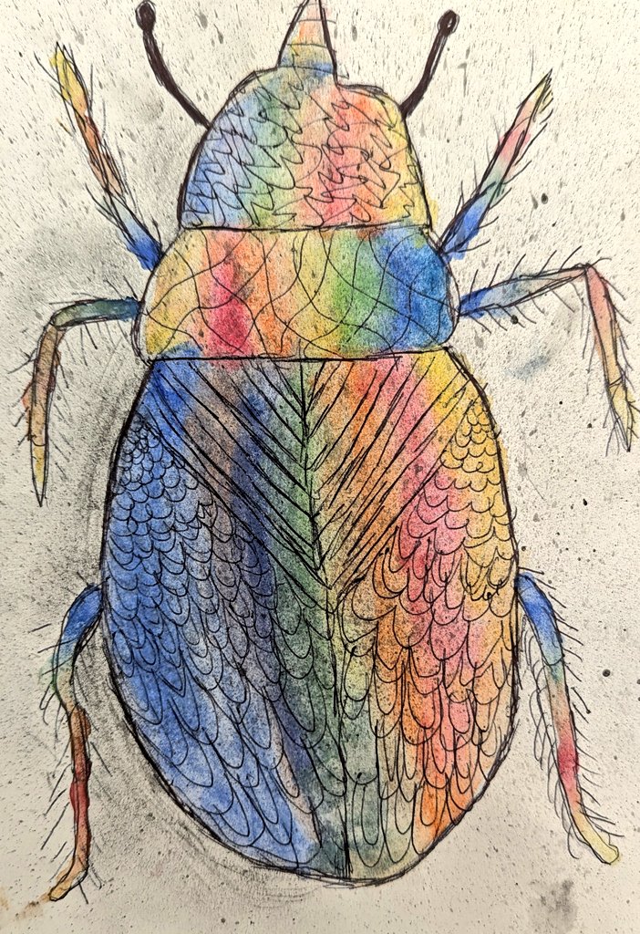 ArmthorpeArt's tweet photo. Year 7 Beetles 🪲... Bringing together all of this half term's work on the formal elements! #KS3Art #InsectsProject https://t.co/cOfQkTBVtN