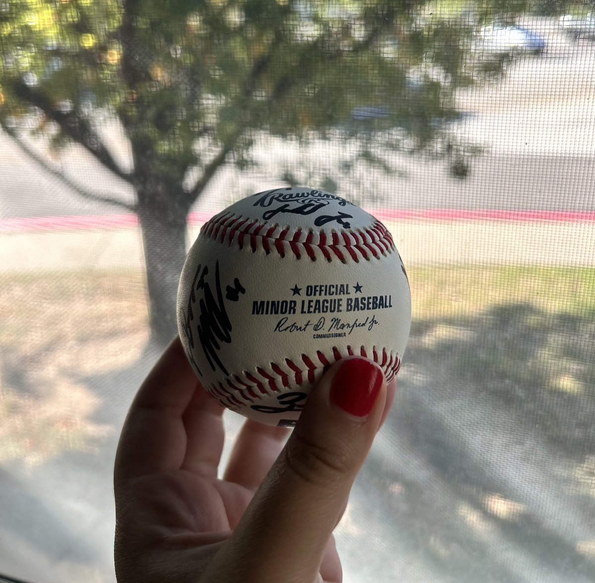 feelin’ generous, GIVEAWAY TIME 🙂‍↔️

for a chance to win a 2024 MWL Championship Team signed baseball ⤵️

- repost this
- follow us

winner will be dm’d monday, 10/28
