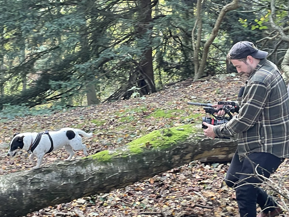 Dominic Petronzi (@dominicpetronzi) on Twitter photo Following our studio storybook reading last week, we were in nature today filming some wonderfully autumnal shots to accompany the film. Excited to see this edited together as a usable resource for children and primary care providers <a href="/R_Petronzi_UoD/">Rebecca Petronzi</a> <a href="/DerbyUni/">University of Derby</a> <a href="/DerbyUniPsych/">Psychology at Derby</a> Following our studio storybook reading last week, we were in nature today filming some wonderfully autumnal shots to accompany the film. Excited to see this edited together as a usable resource for children and primary care providers <a href="/R_Petronzi_UoD/">Rebecca Petronzi</a> <a href="/DerbyUni/">University of Derby</a> <a href="/DerbyUniPsych/">Psychology at Derby</a>