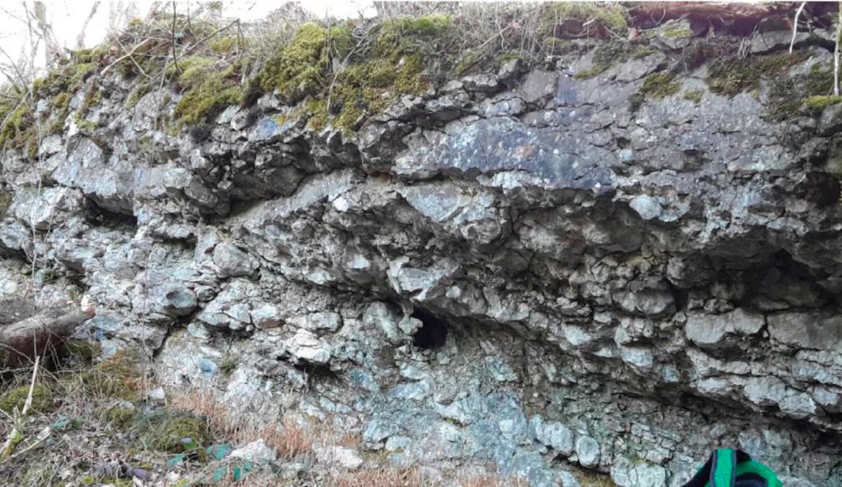 manuelansede's tweet photo. En zonas del interior de España hay rocas como esta: un arrecife de coral fosilizado de hace más de 300 millones de años, cuando la tierra estaba cubierta por un mar tropical. El equipo de @AMG_lab ha hecho un descubrimiento trascendental en estos corales:
https://t.co/RttTotUjuz https://t.co/ffN2Q5HeCL