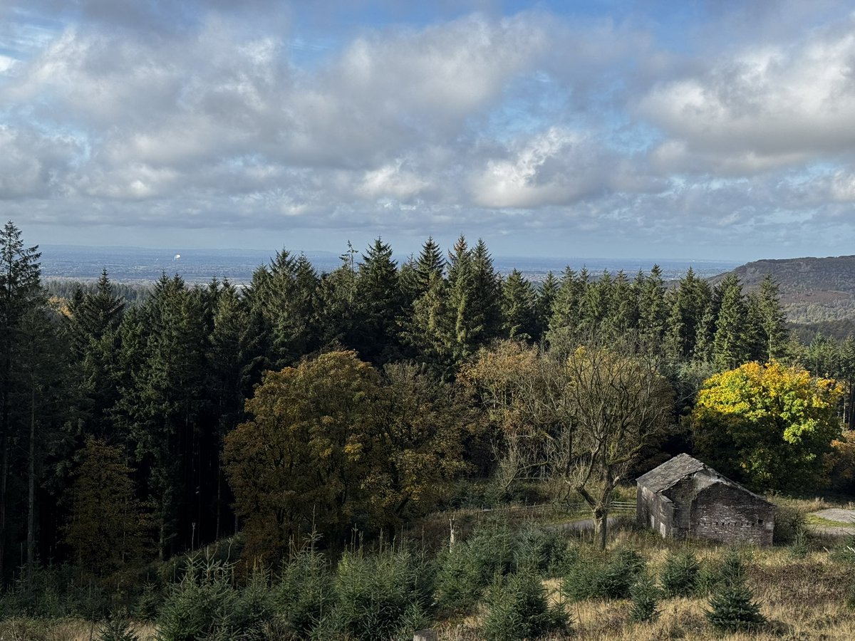 johnwilliams77's tweet photo. Today, we borrowed my folks Sprocker for a 15km hike to Shutlingsloe, Macclesfield Forest and Shining Tor from the Cat &amp; Fiddle. 🐶🍂🥾 @peakdistrict https://t.co/jSspRVtdPb