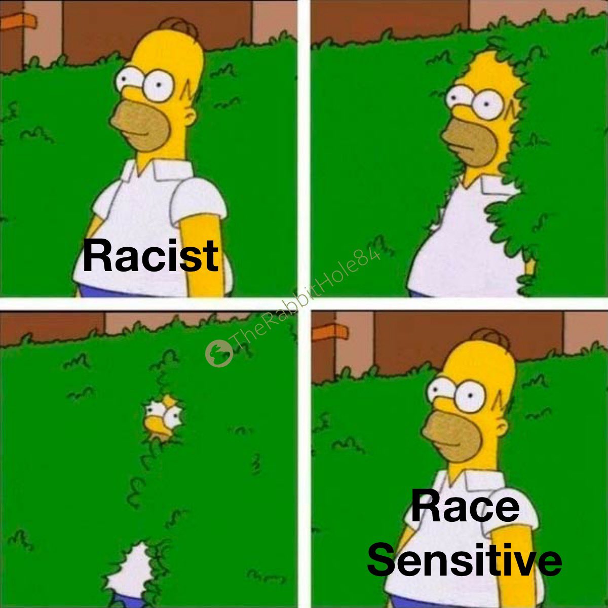 TheRabbitHole's tweet image. DEI is effectively a marketing book filled with euphemism designed to make racism sound good