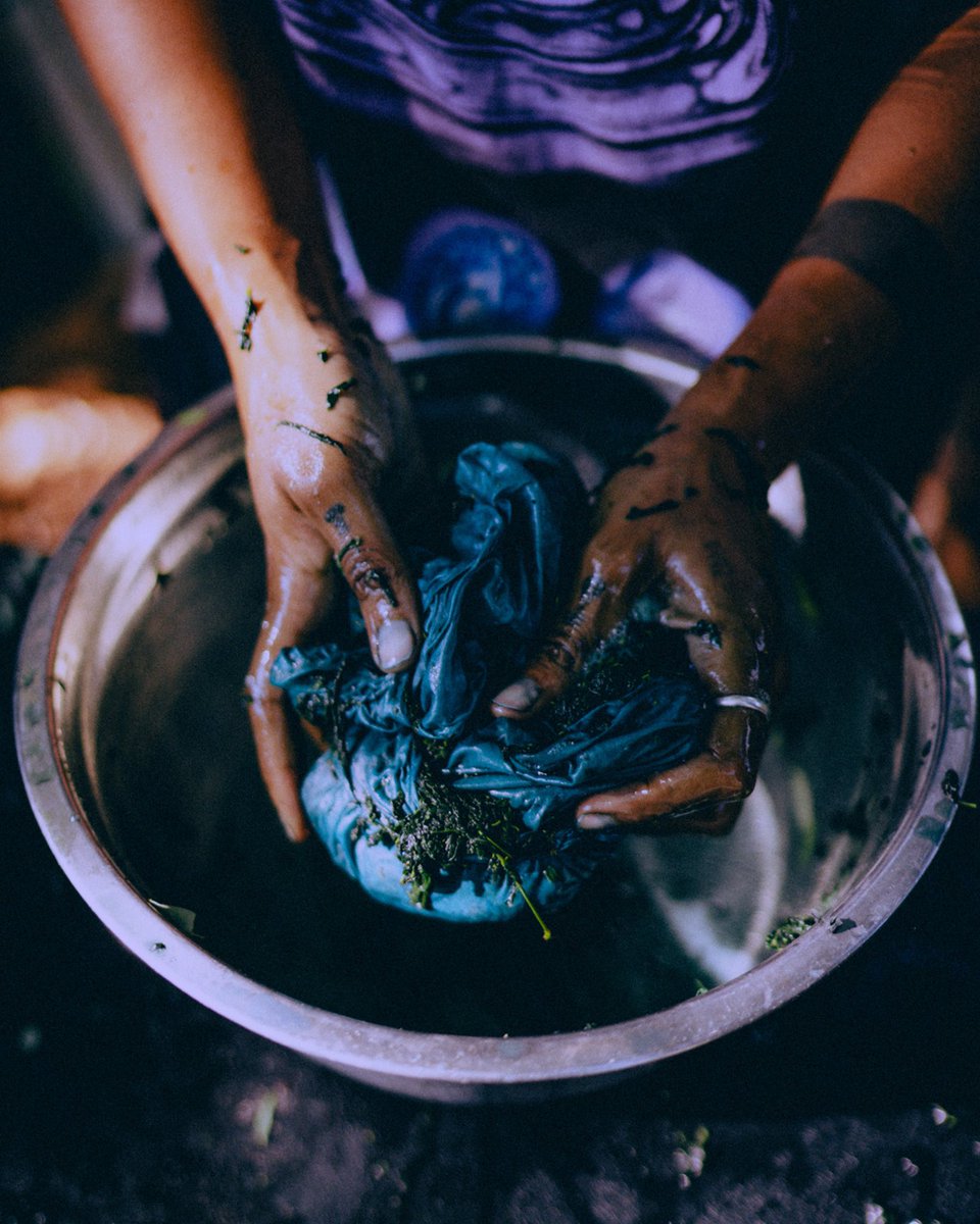 materialinst's tweet photo. Fresh leaf indigo dyeing https://t.co/3uMCKXy0Ej