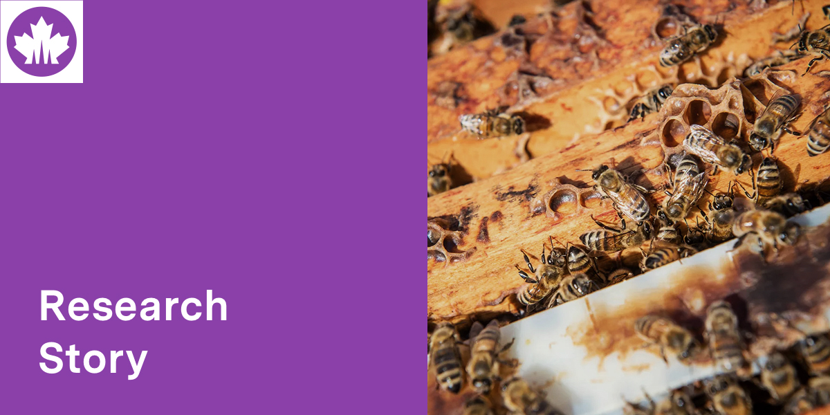 NSERC / CRSNG (@nserc_crsng) on Twitter photo 🗞️
Leonard Foster at the <a href="/UBC/">University of British Columbia</a> is working to help keep honey bee queens healthy through Canadian winters, in partnership with <a href="/uLethbridge/">ULethbridge</a> and <a href="/universitelaval/">Université Laval</a>.
Learn more ▶️ tinyurl.com/3cb7sjbn
#NSERCsupport 🗞️
Leonard Foster at the <a href="/UBC/">University of British Columbia</a> is working to help keep honey bee queens healthy through Canadian winters, in partnership with <a href="/uLethbridge/">ULethbridge</a> and <a href="/universitelaval/">Université Laval</a>.
Learn more ▶️ tinyurl.com/3cb7sjbn
#NSERCsupport