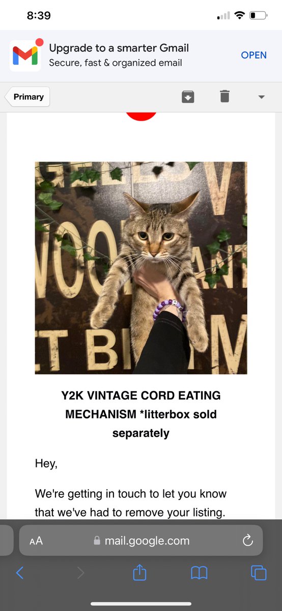 aidenhiltonn's tweet photo. @askdepop suspended my account over a joke listing of my cat for 100,000 dollars like i don’t have 54 items sold and almost five stars. now i have 500$ seemingly gone. i hope they can appeal it before i have to take it to court. FIX MY ACCOUNT PLEASE https://t.co/0BeWXBzmq4