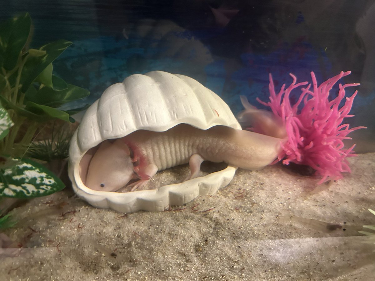 入りきれてないのがまた可愛い🫣