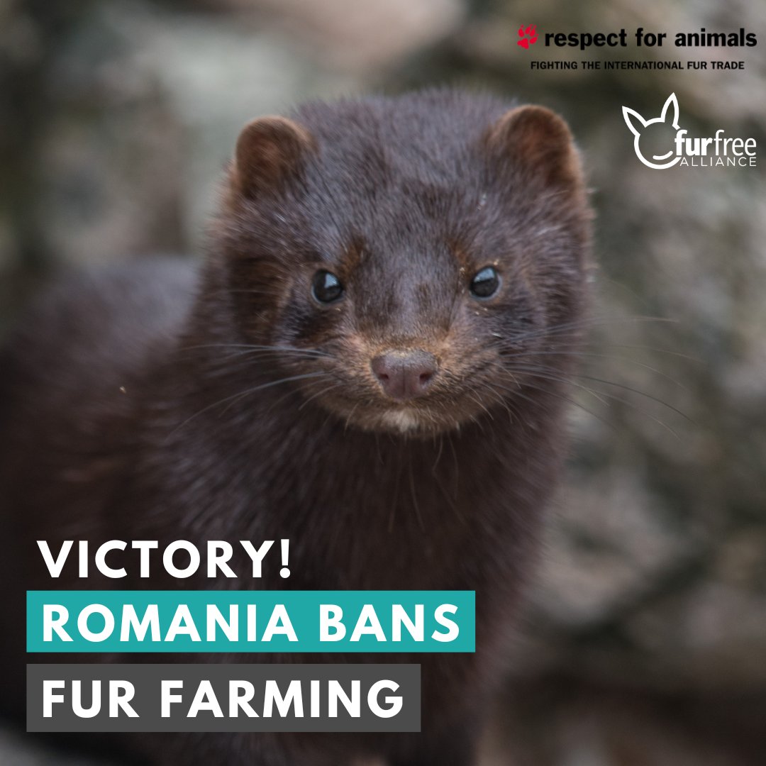 Respect for Animals tweet media