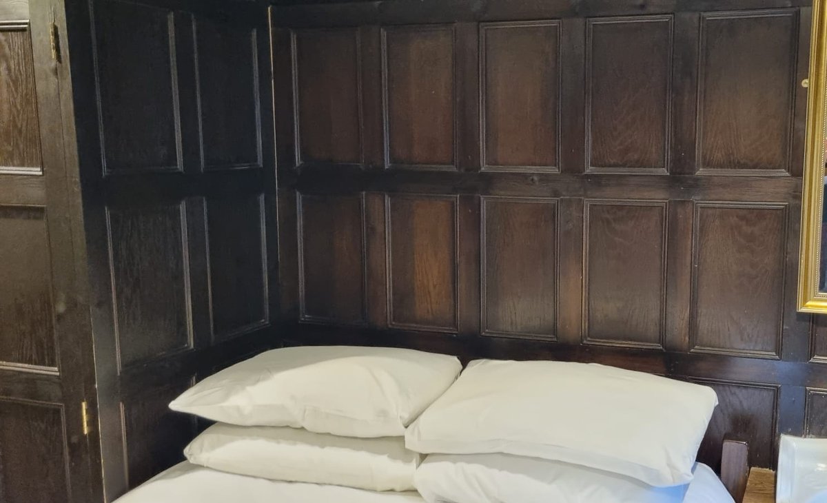 TracyK🌟👑🕊️🐝 tweet media