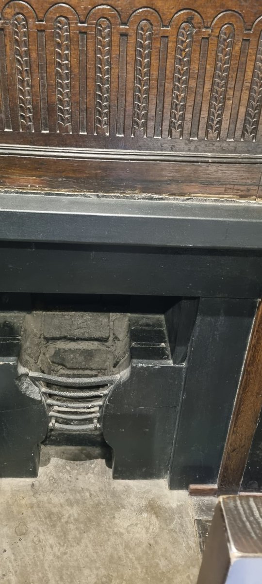 TracyK🌟👑🕊️🐝 tweet media