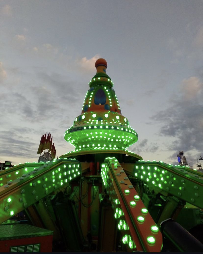 Who’s gone to the fair this year??