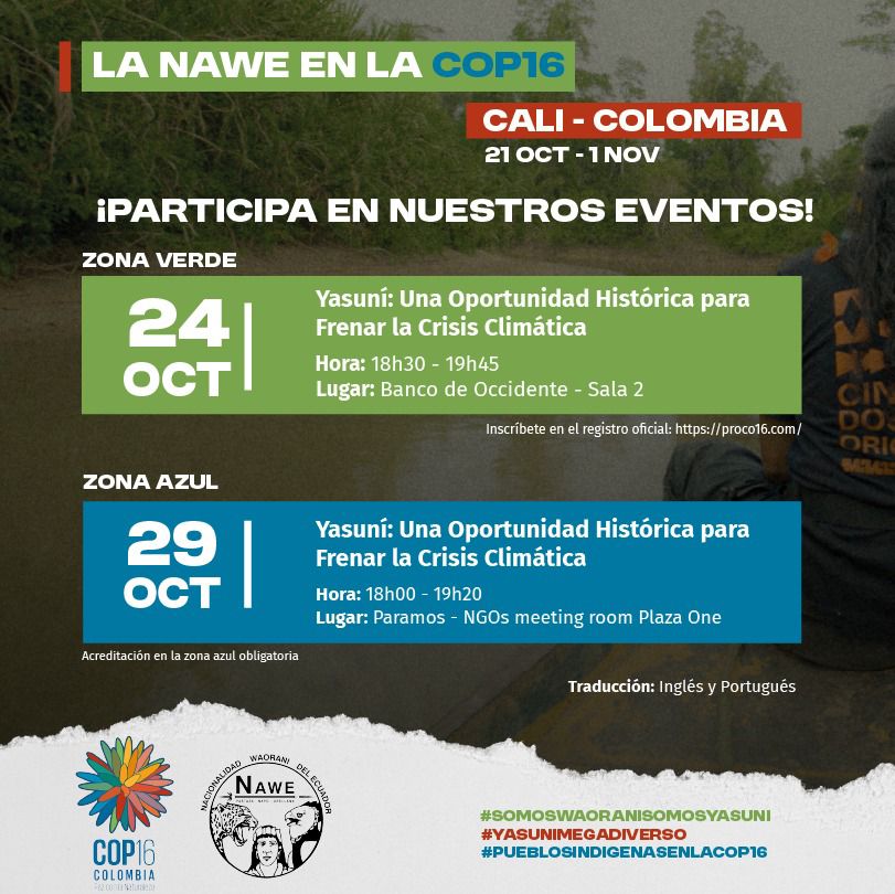 ESAvaaz's tweet image. 🚨¡MAÑANA!

🍃Les invitamos a este evento en la #COP16Colombia: Yasuní: Una Oportunidad Histórica para Frenar la Crisis Climática, en la Zona Verde y Zona Azul. 

En el contexto de la Consulta Popular por el Yasuní, se compartirán los resultados obtenidos de forma colectiva en la