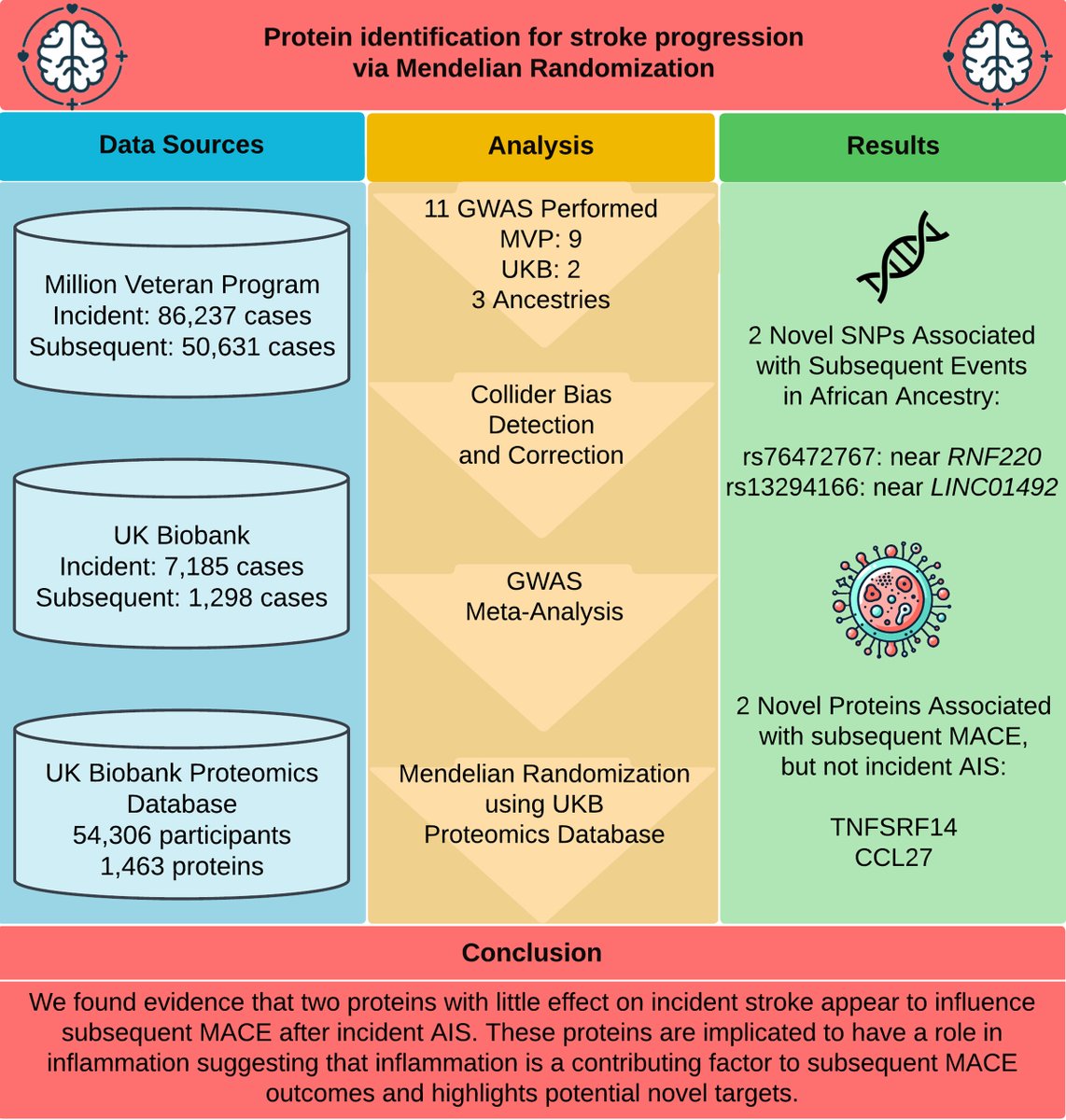Stroke AHA/ASA (@strokeaha_asa) on Twitter photo Genetic Association Study of Recurrent Cardiovascular Events Strengthens the Role of Inflammation in Ischemic Stroke
In this #BloggingStroke post, <a href="/B_Rioux/">Bastien Rioux</a> discusses #Stroke article by Elmore & Adhikari et al. #AHAJournals
ahajournals.org/do/10.1161/blo… Genetic Association Study of Recurrent Cardiovascular Events Strengthens the Role of Inflammation in Ischemic Stroke
In this #BloggingStroke post, <a href="/B_Rioux/">Bastien Rioux</a> discusses #Stroke article by Elmore & Adhikari et al. #AHAJournals
ahajournals.org/do/10.1161/blo…