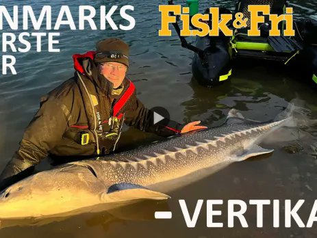TimN23's tweet image. Float tube fishing for giant sturgeon is popular in many countries. When you hook one of these monsters it then tows your light  inner tube for an exciting ride.